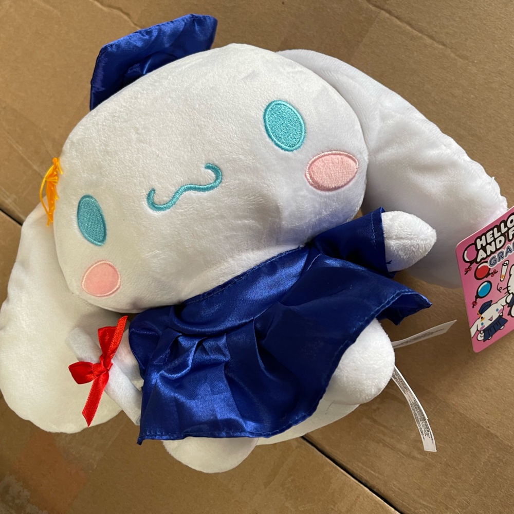 Sanrio cinnamoroll 9” graduation plush